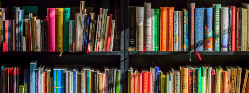 Programas de incentivo à leitura nas empresas: qual a importância e como implementar?