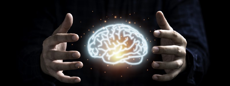 5 melhores livros de Neuromarketing para você começar a ler hoje!