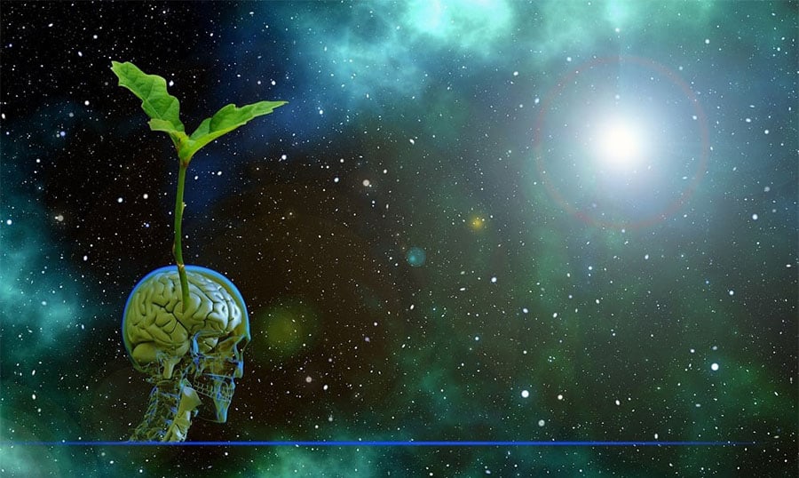 Como desenvolver consciência ambiental na empresa?