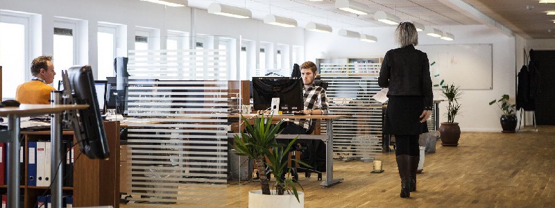 Trilha de aprendizagem organizacional: como turbinar o conhecimento da sua equipe?