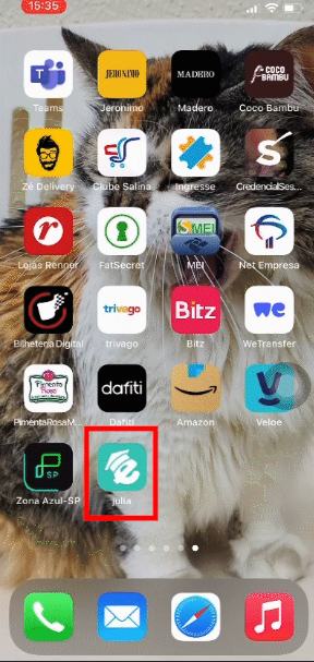 ios4.PNG
